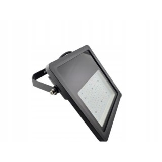 Floodlight Standard 60W